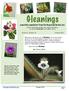 Gleanings. a monthly newsletter from The Gesneriad Society, Inc. Volume 4, Number 10 October 2013