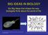 BIG IDEAS IN BIOLOGY