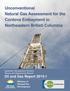 Unconventional Natural Gas Assessment for the Cordova Embayment in Northeastern British Columbia