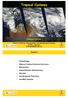 Tropical Cyclones. Elizabeth Ritchie. School of Physical, Environmental, and Mathematical Sciences UNSW Canberra