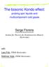 The bosonic Kondo effect: