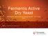 Fermentis Active Dry Yeast B R E W E R Y R E S O U R C E R O A D S H O W / 1 6 TH F E B. 2017