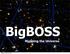BigBOSS. Mapping the Universe