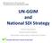 UN GGIM and National SDI Strategy