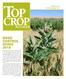 CROP WEED CONTROL GUIDE 2018 MANAGER. MARCH 2018 topcropmanager.com