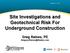Site Investigations and Geotechnical Risk For Underground Construction Greg Raines, PE