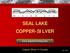 SEAL LAKE COPPER-SILVER