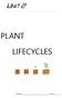 PLANT LIFECYCLES. Name: Class: