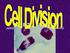 Purposes of Cell Division