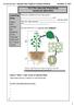 13.2 The Vascular Plant Body (textbook p )