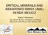 CRITICAL MINERALS AND ABANDONED MINES (AML) IN NEW MEXICO