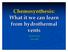 Chemosynthesis: What it we can learn from hydrothermal vents. Ryan Perry Geol 062