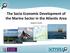 The Socio Economic Development of the Marine Sector in the Atlantic Area. Stephen Hynes