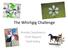 The Whirligig Challenge. Brenda Capobianco Chell Nyquist Todd Kelley