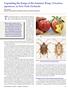 The stink bug complex is a robust and diverse group of