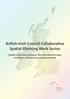 British-Irish Council Collaborative Spatial Planning Work Sector