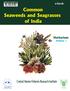 Common Seaweeds and Seagrasses of India