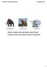 What modern day animals could have evolved from the above extinct animals?