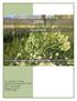 Annual Report. Noxious Weed Control and Eradication Activities on Lands in Inyo and Mono Counties