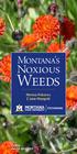 Montana's. Noxious. Weeds. Monica Pokorny & Jane Mangold
