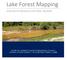 Lake Forest Mapping ANALYSIS OF SHOALING AND POOL VOLUMES