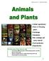 Animal reproduction. Parts of flowering. plants. Anchorage. Circulation. Gas exchange and. waste removal. Food production. Reproduction.