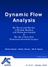 Dynamic Flow Analysis