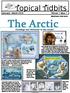 The Arctic. Topical Tidbits. Greetings and Welcome to the Arctic! Editor/Creator: Aimée Devine