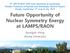 Future Opportunity of Nuclear Symmetry Energy at LAMPS/RAON