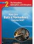 How Are. Bats & Tornadoes. Connected?
