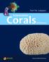 Scleractinian Corals of Vietnam Yuri Ya. Latypov