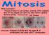 What is mitosis? -Process in which a cell divides, creating TWO complete Sets of the original cell with the same EXACT genetic Material (DNA)