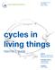 cycles in living things