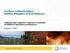 Southern California Edison Wildfire Mitigation & Grid Resiliency