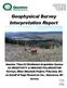 Geophysical Survey Interpretation Report