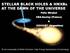 STELLAR BLACK HOLES & HMXBs AT THE DAWN OF THE UNIVERSE