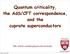 Quantum criticality, the AdS/CFT correspondence, and the cuprate superconductors
