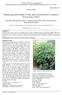 Pharmacognostical studies of leaf, stem, root and flower of Abutilon hirtum (Lam.) Sweet