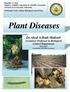 Plant Diseases. Dr.Ahed A.Hadi Matloob Assistance Professor in Biological Control Department