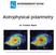 Astrophysical polarimetry