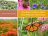 Annie S. White, PhD, ASLA. How Native Cultivars Affect Plant/Pollinator Interactions