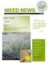 WEED NEWS. A flower falls, even though we love it; and a weed grows, even though we do not love it. nox ious. ˈnäkSHəs. In This Issue.