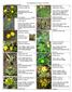 Cove Wildflowers by Month May 2014