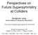 Perspectives on Future Supersymmetry at Colliders