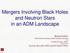 Mergers Involving Black Holes and Neutron Stars in an ADM Landscape