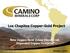 Los Chapitos Copper-Gold Project