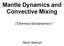 Mantle Dynamics and Convective Mixing