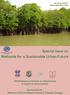Special Issue on Wetlands for a Sustainable Urban Future