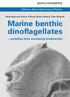 Marine benthic dinoflagellates
