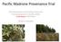 Pacific Madrone Provenance Trial